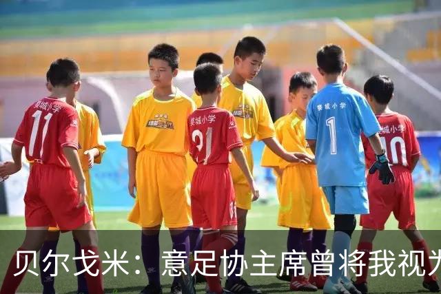 贝尔戈米：意足协主席曾将我视为备选方案，但首选一直是马尔蒂尼